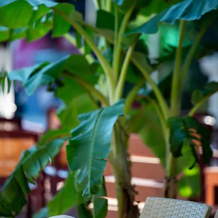 Hotel Grand Derin Beldibi (Kemer)